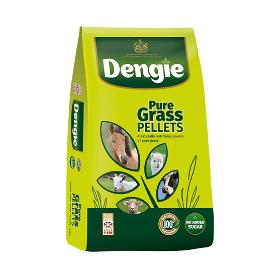 Dengie Natural Grass Pellets For Horses - 15kg