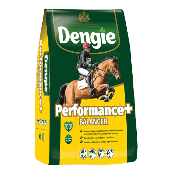 Dengie Performance+ Energy Balancer Horse Feed - 15kg