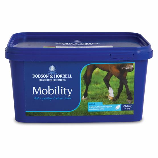 D&amp;H Mobility