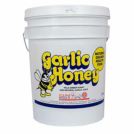 Garlic Honey