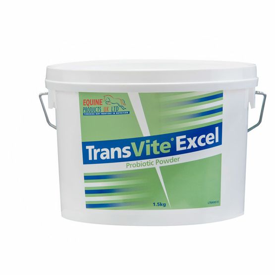Transvite Excel