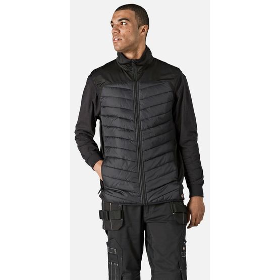 Dickies Generation Hybrid Black Body Warmer