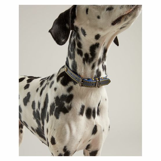 Joules Leather Dog Collar