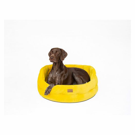 Joules Chesterfield Pet Bed