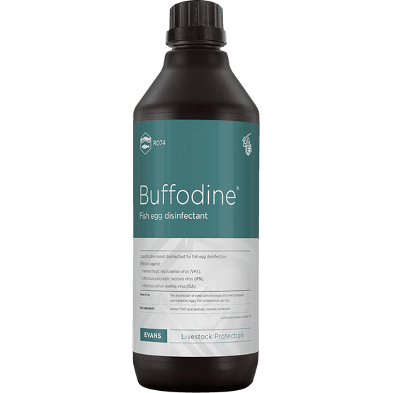 Buffodine Disinfectant