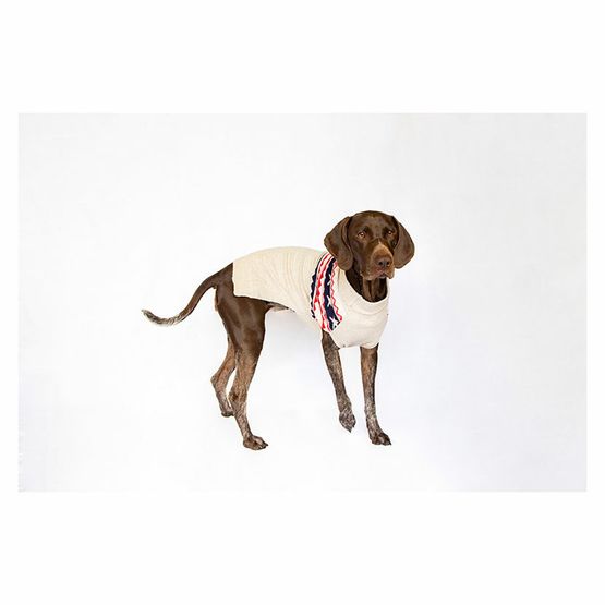 Joules Fairisle Jumper