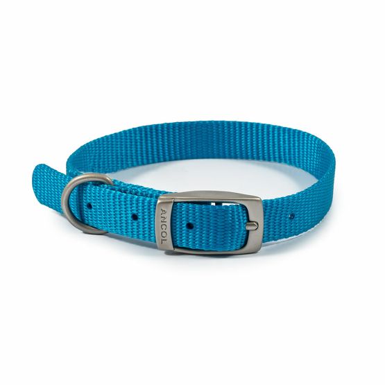 Ancol Viva Blue Buckle Collar