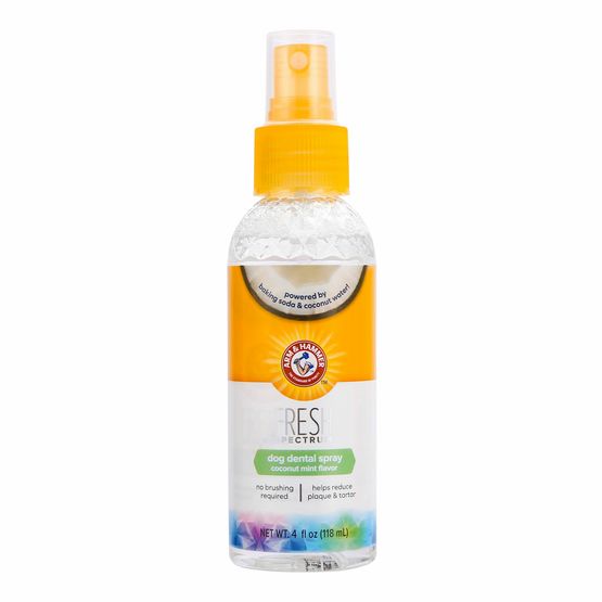 ARM &amp; HAMMER FRESH COCONUT MINT DENTAL SPRAY