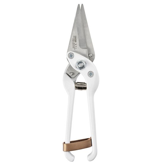 BURGON &amp; BALL FOOTROT SHEARS PLAIN