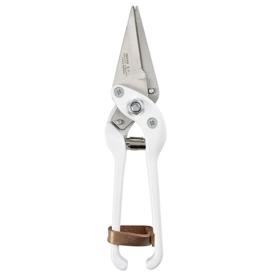 BURGON &amp; BALL FOOTROT SHEARS SERRATED