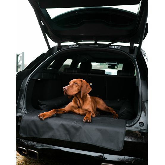 DANISH DESIGN BOOT BED