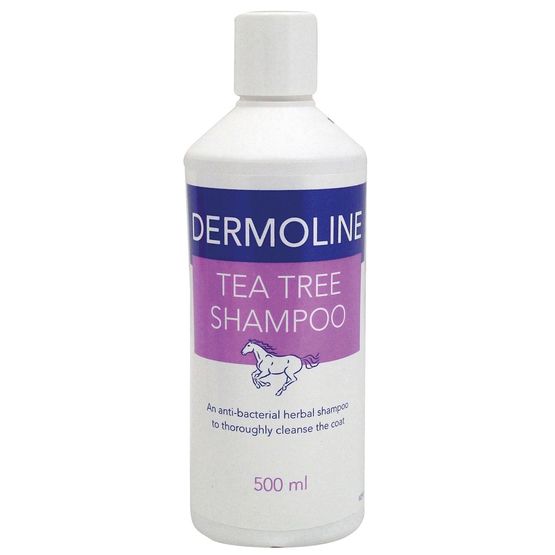 DERMOLINE TEA TREE SHAMPOO