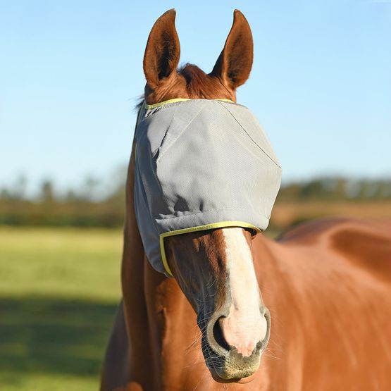 EQUILIBRIUM FIELD RELIEF MIDI FLY MASK NO EARS GREY/YELLOW