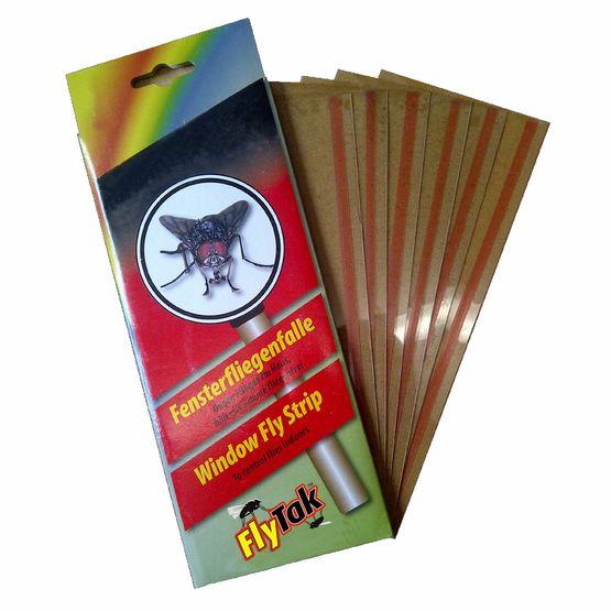 FLYTAK STICKY WINDOW FLY STRIP