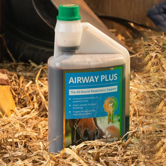 Global Herbs Airway Plus Liquid (1 Litre)