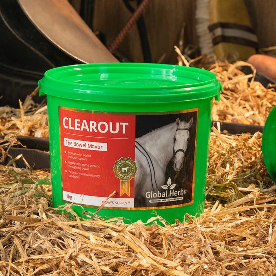 GLOBAL HERBS CLEAROUT