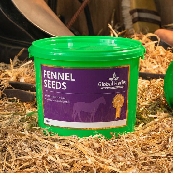 GLOBAL HERBS FENNEL SEEDS