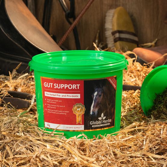 GLOBAL HERBS GUT SUPPORT