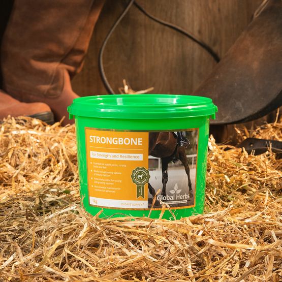 GLOBAL HERBS STRONGBONE