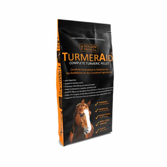 GOLDEN PASTE COMPANY TURMERAID