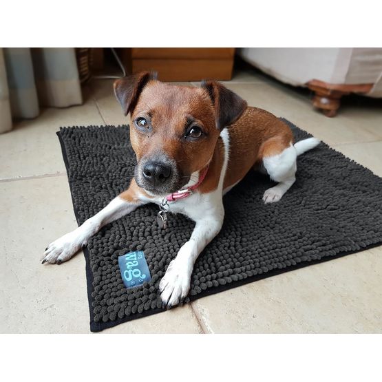 HENRY WAG MICROFIBRE NOODLE PET MAT
