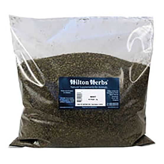 HILTON HERBS MINT