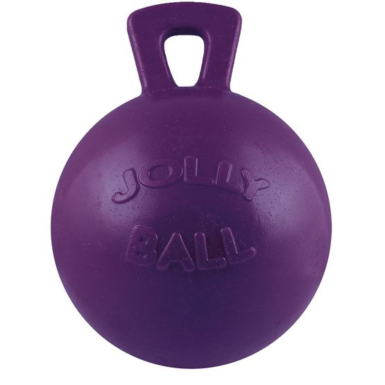 HORSEMEN'S PRIDE JOLLY BALL  PURPLE