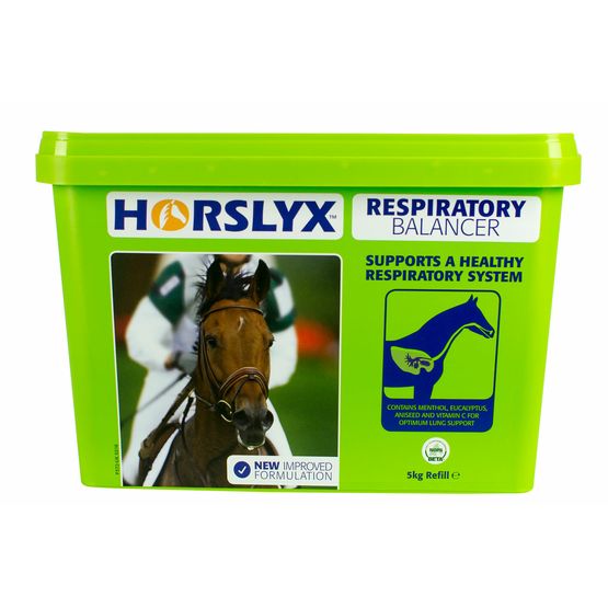 HORSLYX BALANCER LICK 5 KG