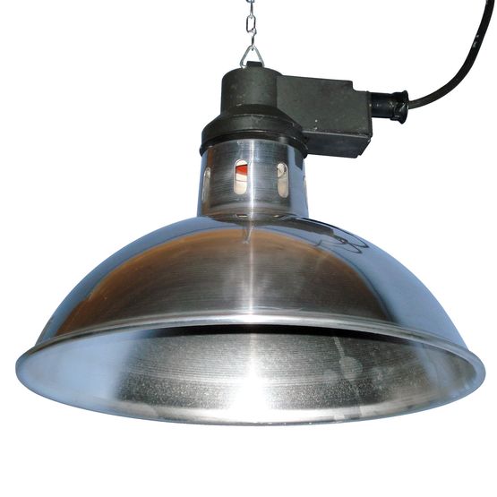 Intelec Trad Infra - Red Heat Lamp 11.75" Shade