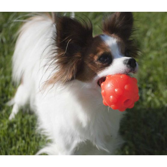 Jolly Pets Jumper Ball Dog Toy - Orange