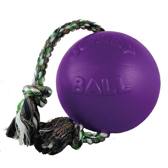 Jolly Pets Romp-n-Roll Rope Ball Dog Toy - Purple