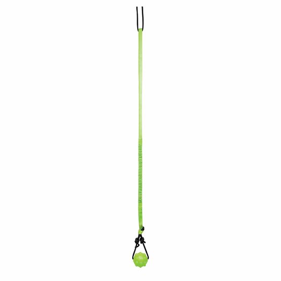 Jolly Pets Tree Tugger Bungee Rope Dog Toy - Green