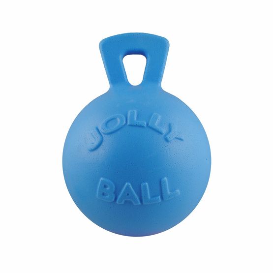 Jolly Pets Tug-n-Toss Dog Ball - Blueberry