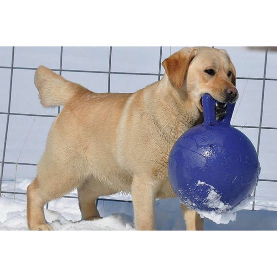 Jolly Pets Tug-n-Toss Dog Ball - Purple