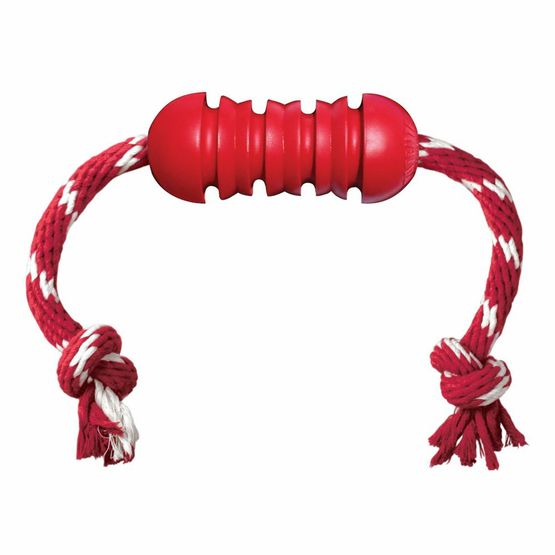 KONG DENTAL WITH ROPE
