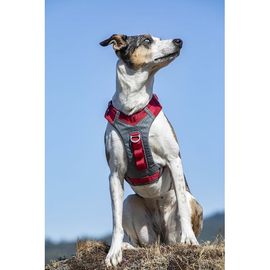 Kurgo Journey Dog Air Harness in Red