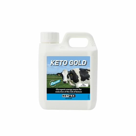 NETTEX KETO GOLD