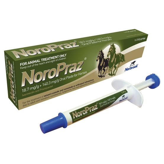NORBROOK NOROPRAZ ORAL PASTE FOR HORSES