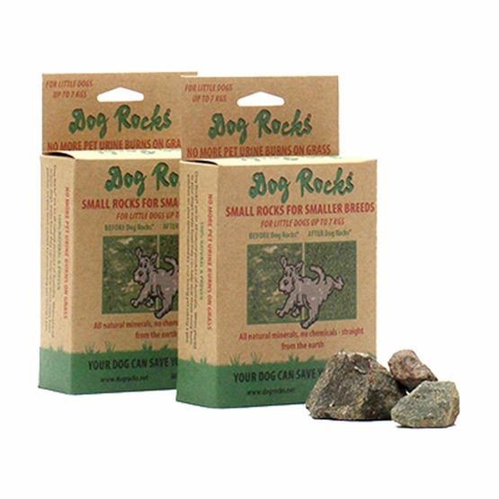 PODIUM PET PRODUCTS DOG ROCKS