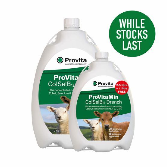 Provita Provitamin Colselb12 Promo Pack 2.5ltr