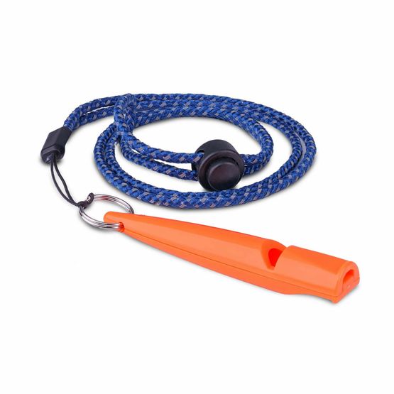 COACHI TRAINING WHISTLE
