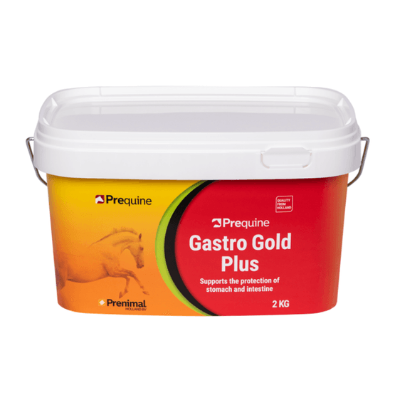 Gastro Gold