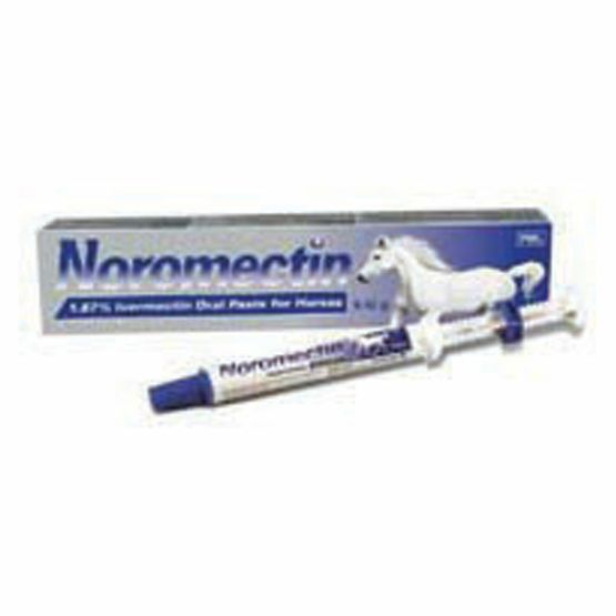 Noromectin Equine Paste