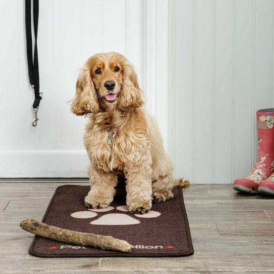 Pet Rebellion 'Stop Muddy Paws' Large Absorbent Brown Dog Mat