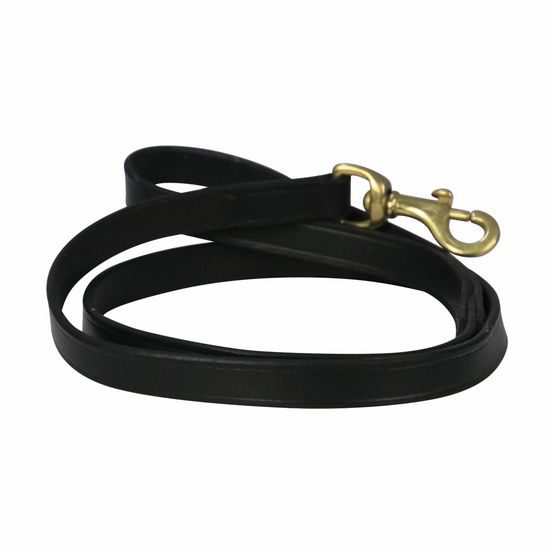 Benji &amp; Flo Deluxe Padded Leather Dog Lead