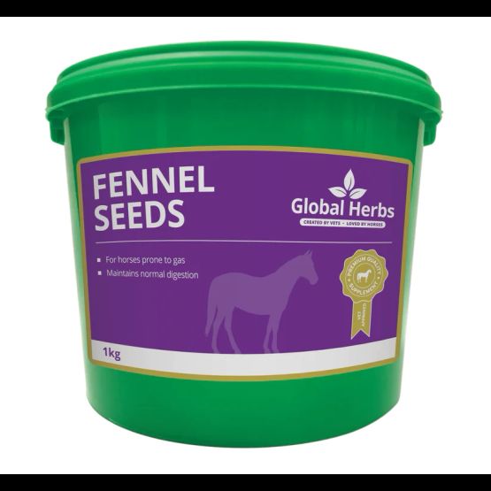 Global Herbs Fennel Seeds
