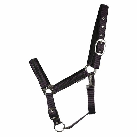 Hy Equestrian Mystic Head Collar