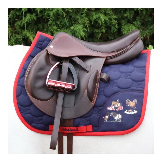 Mary Poppins - Tasse de collection Pratiquement Parfaite