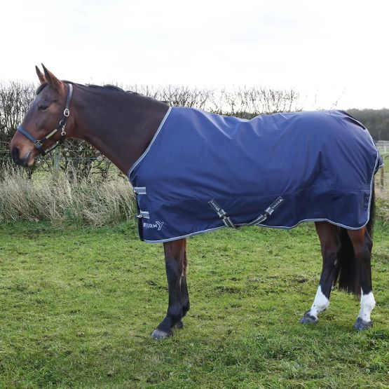 StormX Empra 100 Turnout Rug