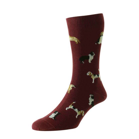 HJ Hall HJ67 Country Dogs Motif Men's Socks - Burgundy (6-11)